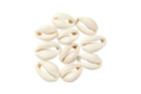 Coquillages Cauri naturels - 12 pièces - Perles Heishi et coquillages 55237 - 10doigts.fr