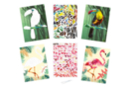 Kit 2 tableaux gommettes au numéro : Toucan et Flamant rose - Kits créatifs avec gommettes : le plein d’idées pour les petits artistes 59716 - 10doigts.fr