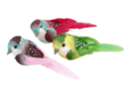 Oiseaux colorés sur pince - 3 pièces - Décorations à coller - 10doigts.fr