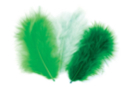Plumes en camaïeu vert - Set d'environ 50 plumes - Plumes décoratives 10446 - 10doigts.fr