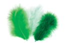 Plumes en camaïeu vert - Set d'environ 50 plumes - Plumes décoratives 10446 - 10doigts.fr