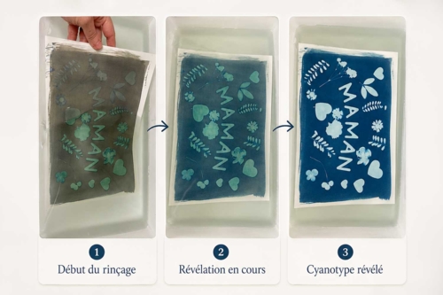 L'évolution de la réaction chromatique - 