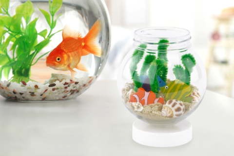Aquarium miniature