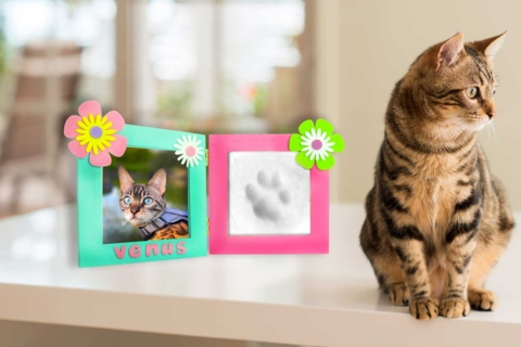 Cadre empreinte animal de compagnie