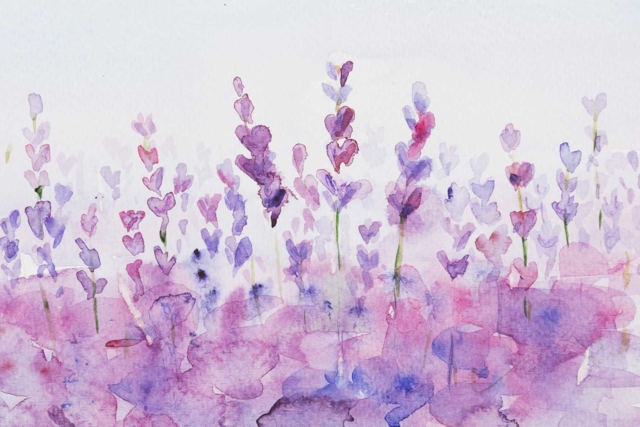 aquarelle lavande - Peinture aquarelle : palettes, pinceaux et accessoires pour peindre à l'eau - 10doigts.fr