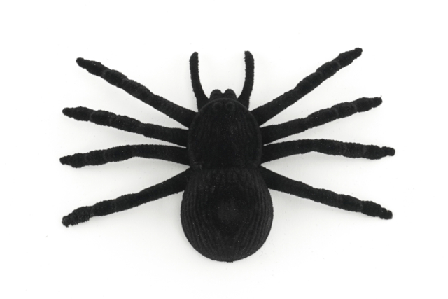 araignée déco halloween - Accessoires créatifs Halloween - 10doigts.fr