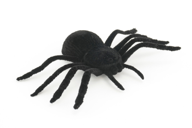 araignée décoration halloween - Accessoires créatifs Halloween - 10doigts.fr