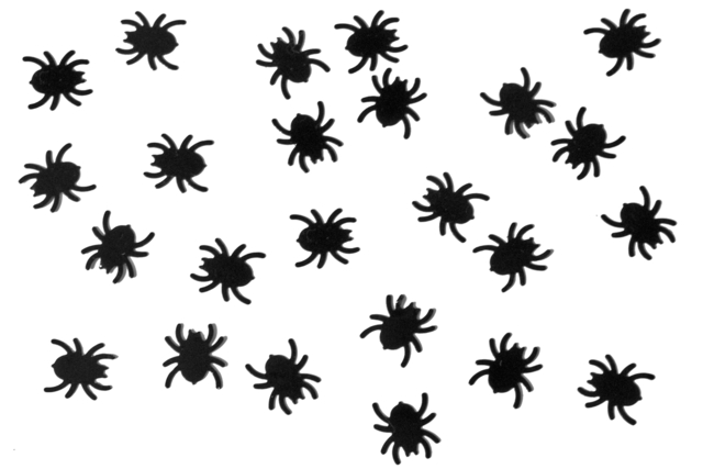 araignées halloween - Accessoires créatifs Halloween - 10doigts.fr