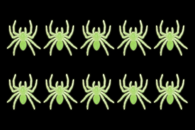 araignées phosphorescentes halloween - Accessoires créatifs Halloween - 10doigts.fr