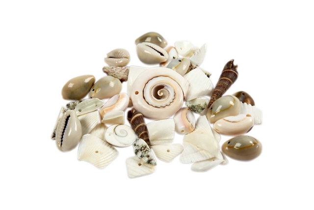 Assortiment de coquillages percés - Perles Heishi et coquillages - 10doigts.fr