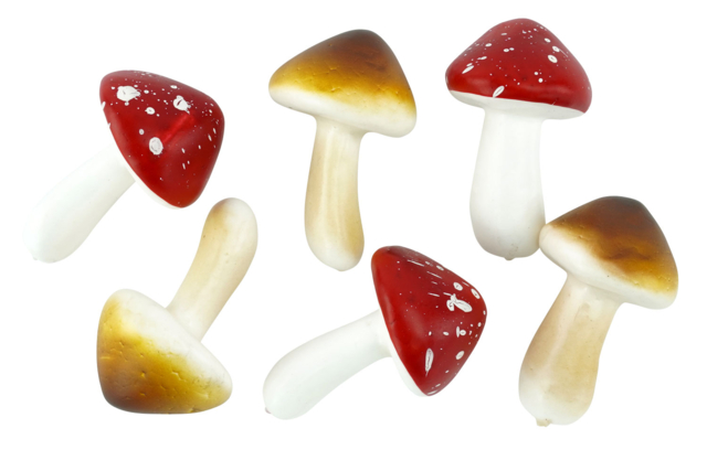champignons en polystyrène - Décors nature - 10doigts.fr