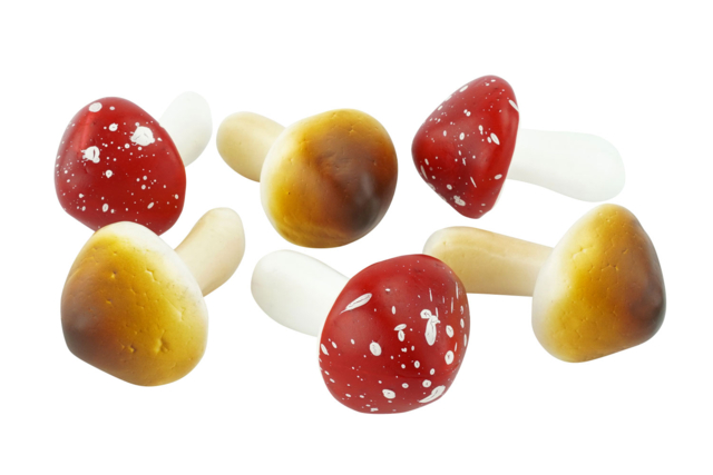 champignons réalistes - Décors nature - 10doigts.fr