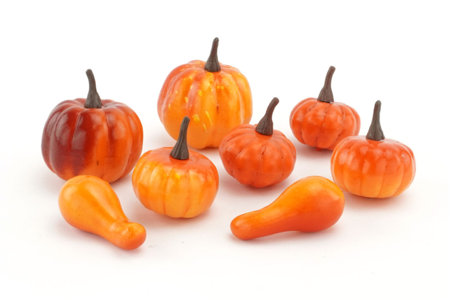courges et citrouilles - Décors nature - 10doigts.fr
