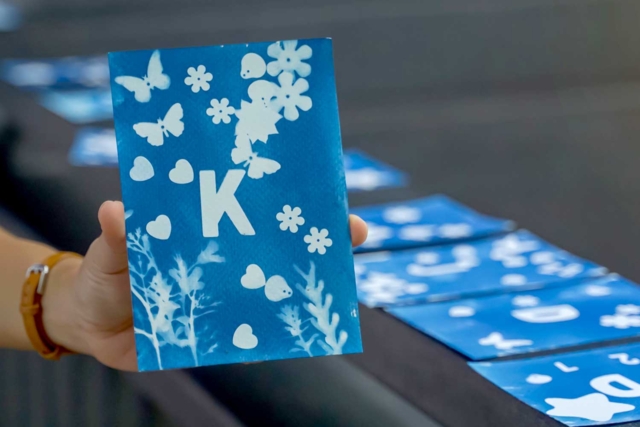 Cyanotype pré imprégnées + 1 plaque - Le cyanotype : s'initier à la magie de la photographie solaire - 10doigts.fr