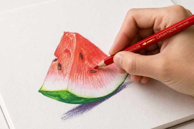 dessin avec crayons caran d'ache - Fusains, sanguines & craies - 10doigts.fr