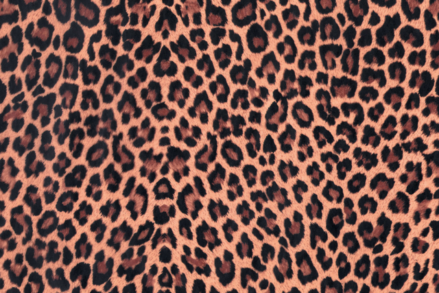 feuille decopatch animal - Papiers Décopatch - 10doigts.fr