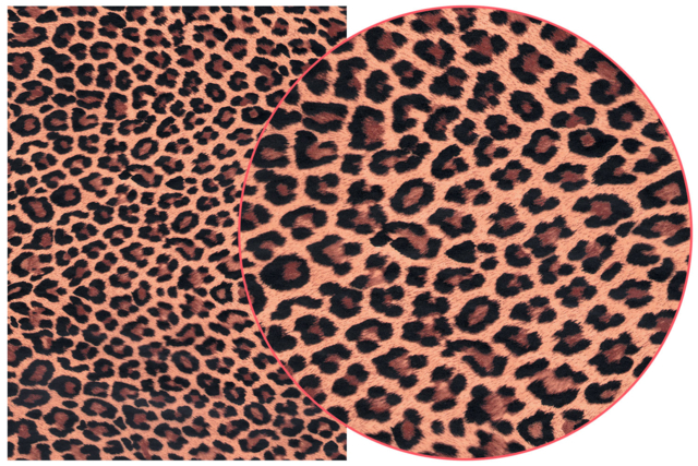 feuilles decopatch animal  - Papiers Décopatch - 10doigts.fr