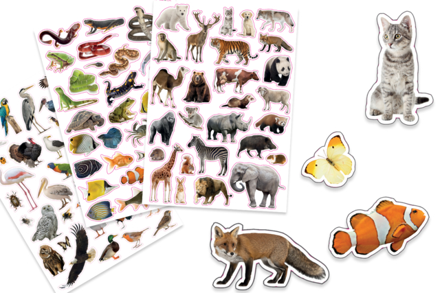 gommettes animaux - Des gommettes animaux pour créer et apprendre dès la maternelle - 10doigts.fr