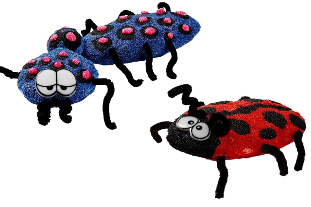 Insectes en FOAM CLAY - Pâtes à modeler autodurcissantes - 10doigts.fr
