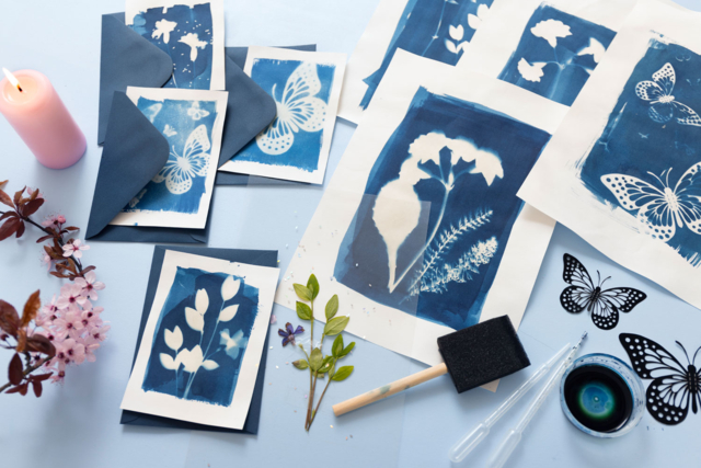 Kit créatif Cyanotype - Le cyanotype : s'initier à la magie de la photographie solaire - 10doigts.fr