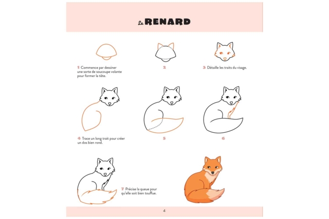 livre apprendre à dessiner les animaux - Livres de coloriage et dessins : pour apprendre et s'évader - 10doigts.fr