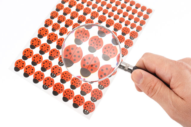 loupe insectes - Découverte de la nature - 10doigts.fr