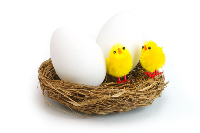 nid et poussin plumes - Accessoires décoratifs de Pâques - 10doigts.fr