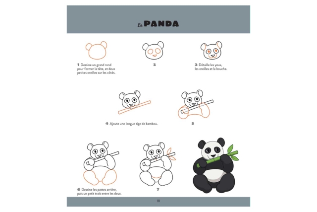 pas à pas dessins d'animaux - Livres de coloriage et dessins : pour apprendre et s'évader - 10doigts.fr