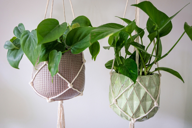 plante verte macrame - Cordes & ficelles naturelles - 10doigts.fr