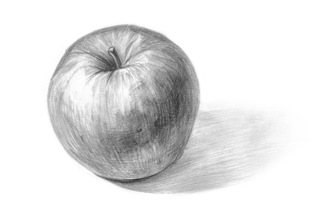 porte mines dessin pomme ombre - Crayons à papier : l'outil indispensable pour écrire et dessiner - 10doigts.fr