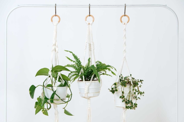 suspensions anneaux bois - Perles Bois - 10doigts.fr