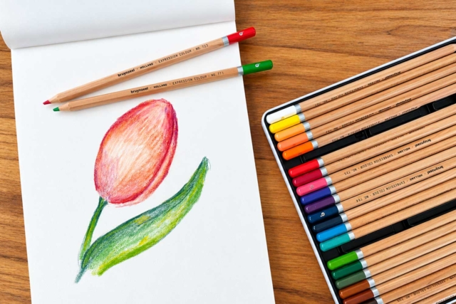 tulipe au crayons de couleurs - Crayons de couleurs Beaux-Arts - 10doigts.fr