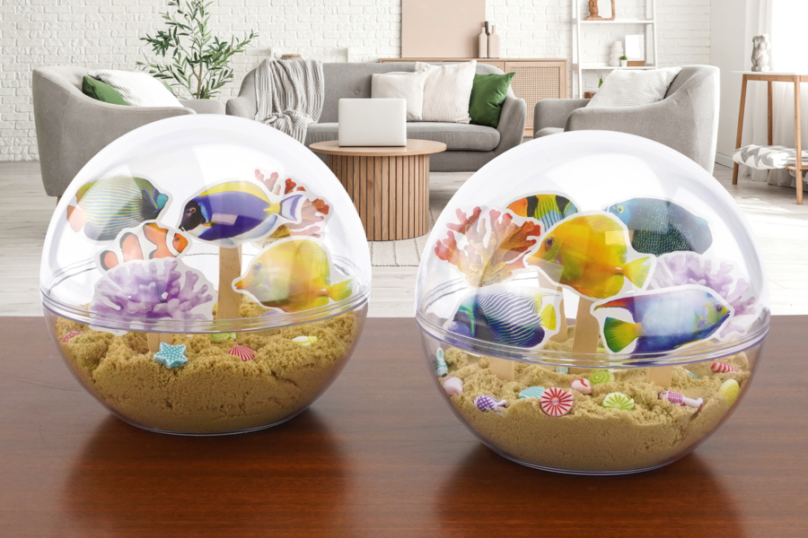 Aquarium et poissons exotiques